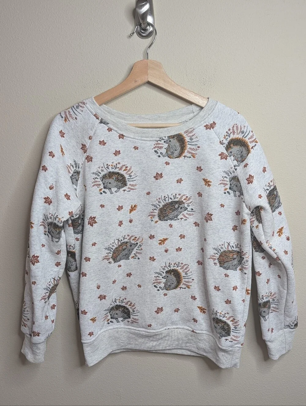 L.A. Soul Hedgehog Print Sweatshirt Crewneck Pullover Women's M Gray Cottagecore - Picture 1 of 7
